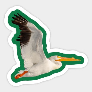 Pelican Sticker